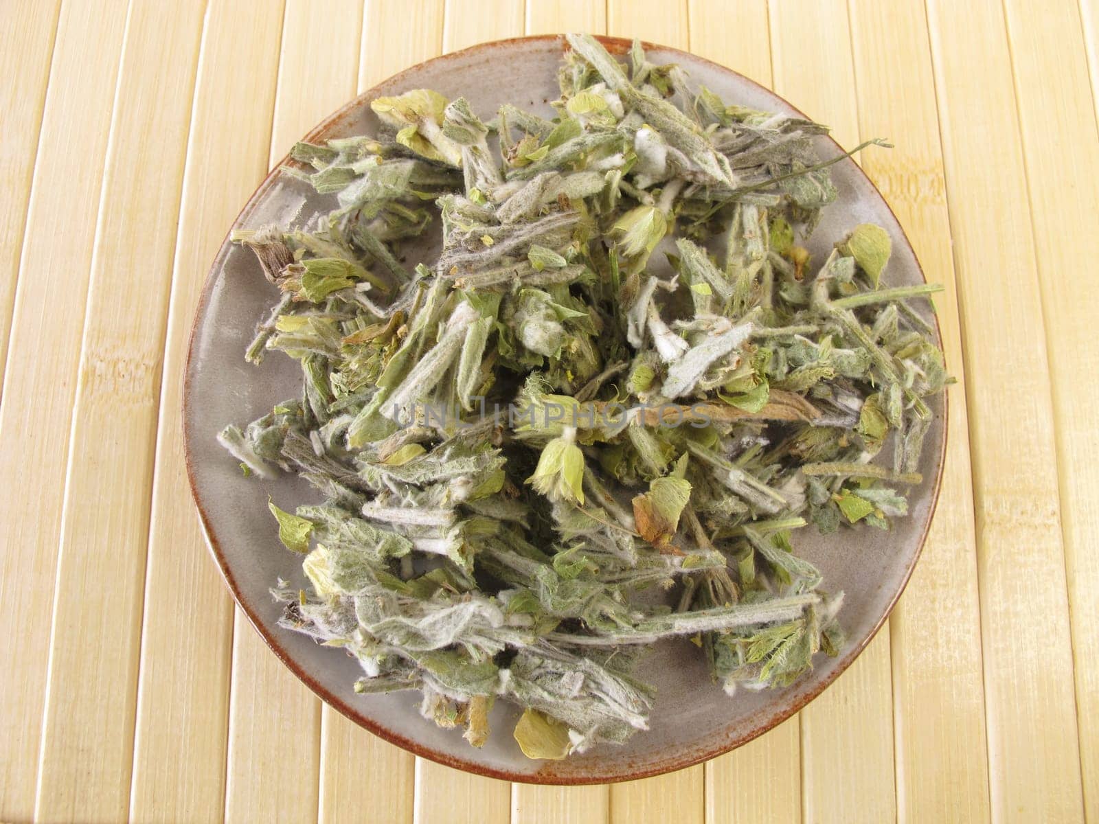 Greek mountain tea