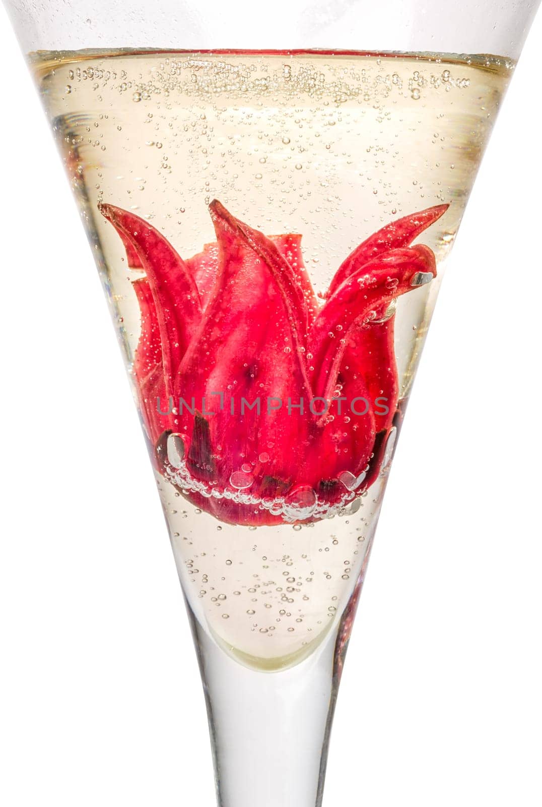Sparkling wine cocktail with hibiscus blossom