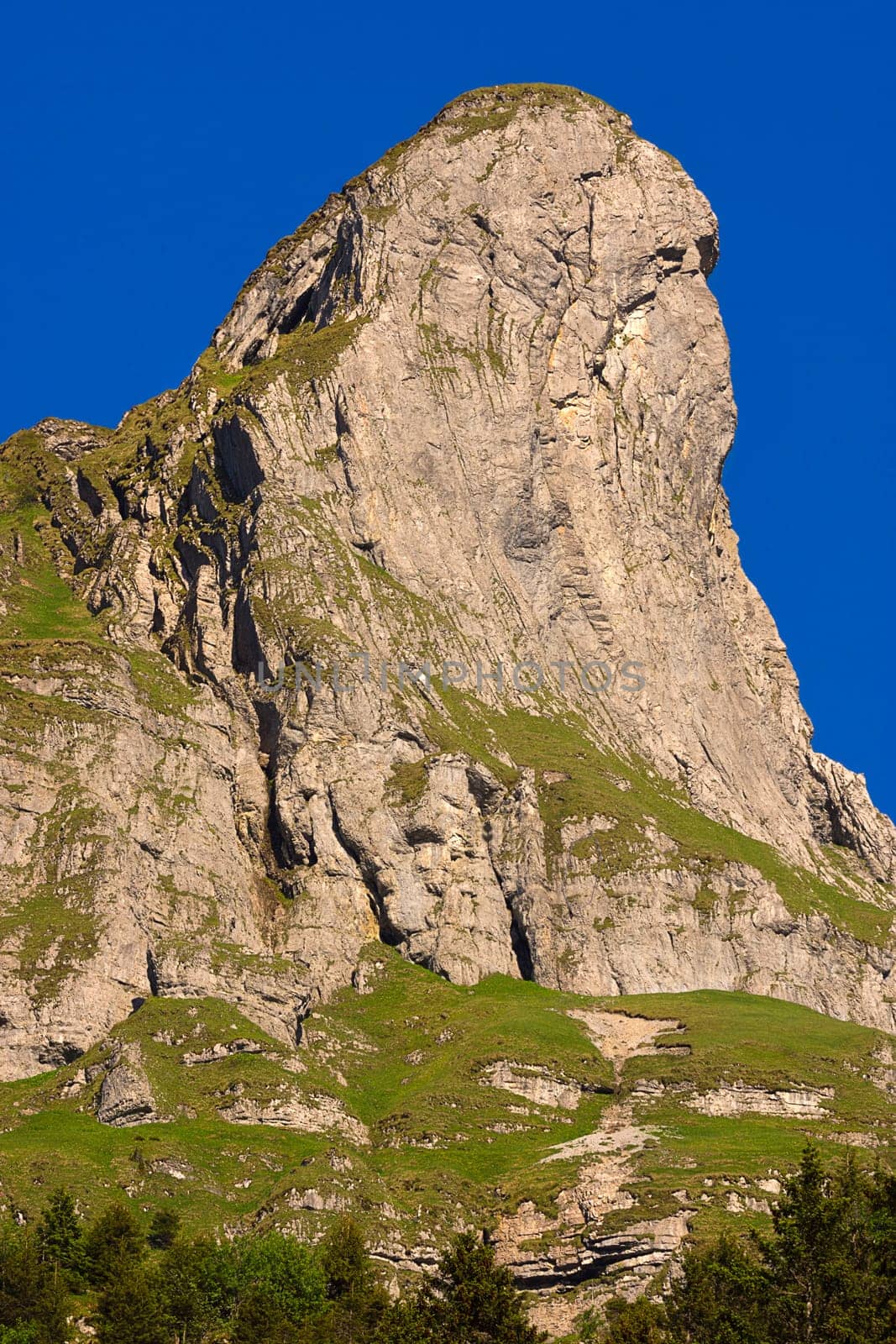 The stallion an impressive summit