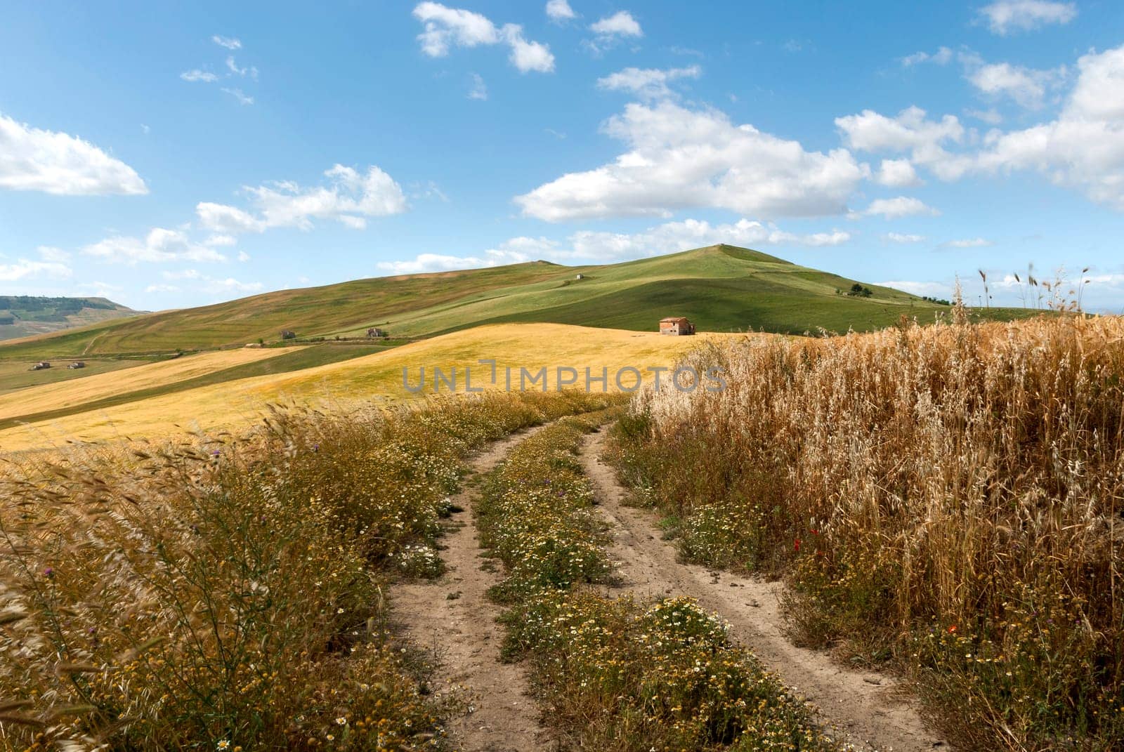 country landscape with cottage in Matera
