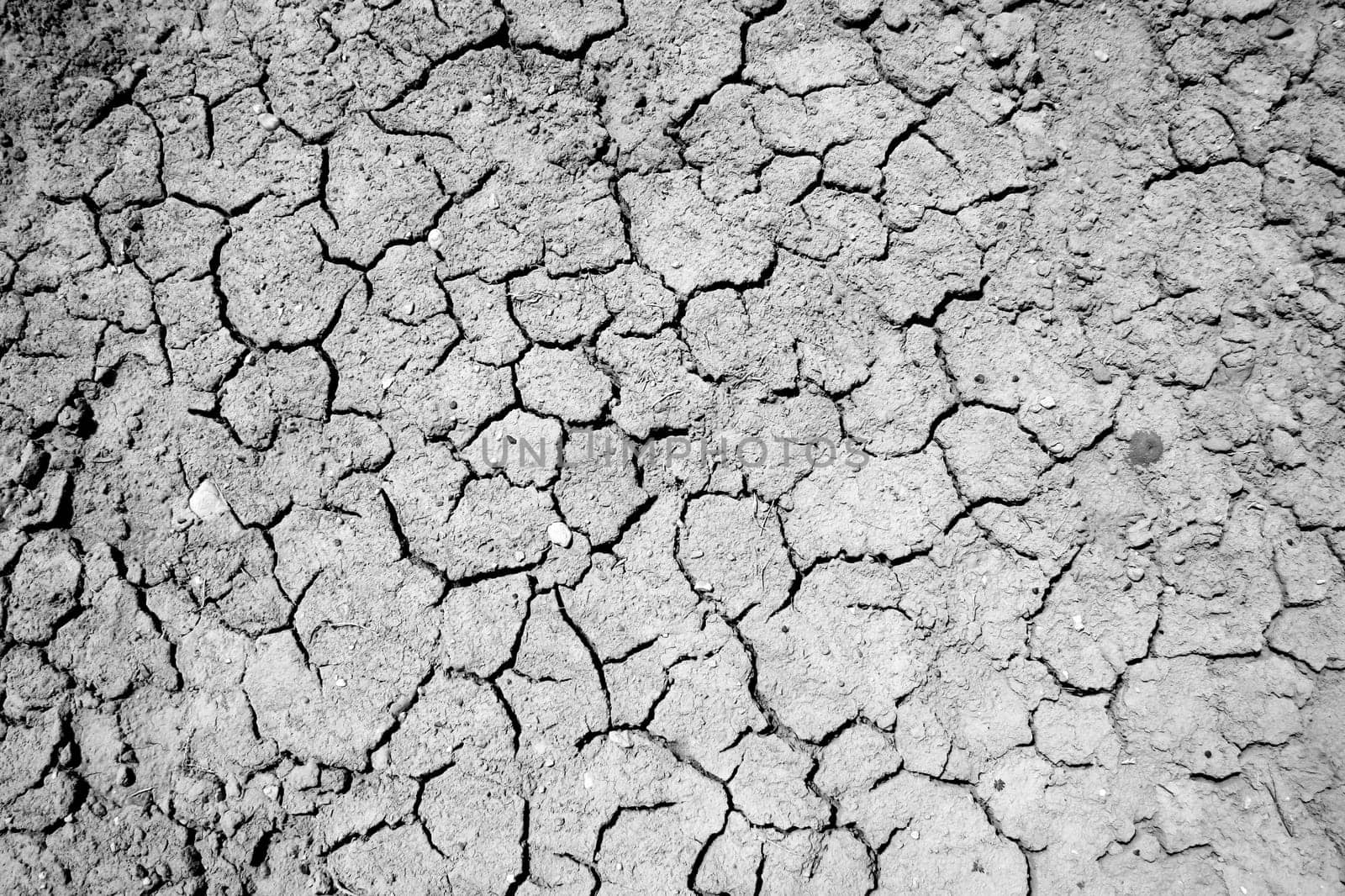 Background of cracked and dusty grey soil