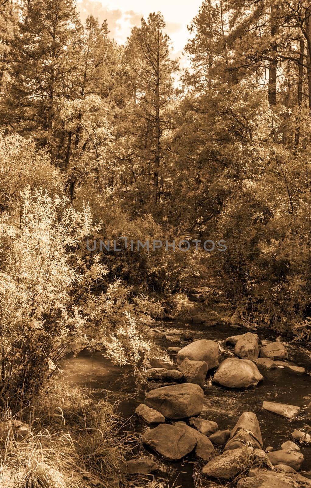 Vintage look pictures of Jemez River in New Mexico