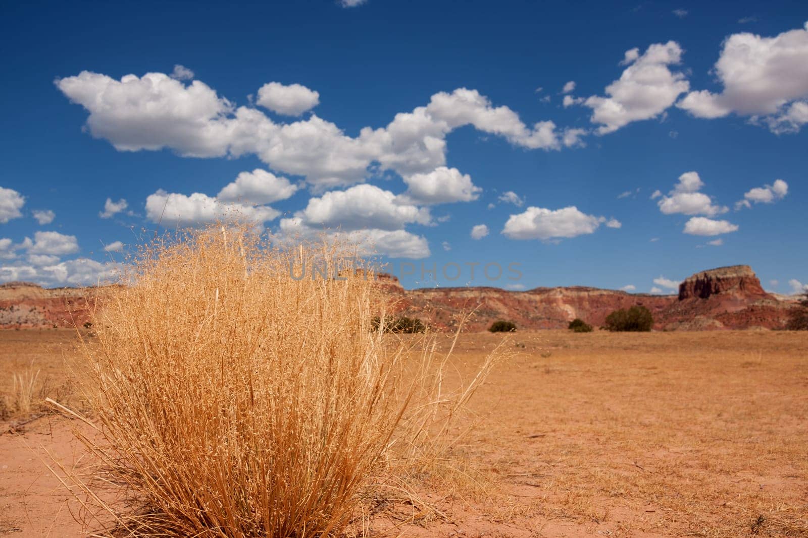 Colorful landscape and scenery in New Mexico near Ghost Ranch