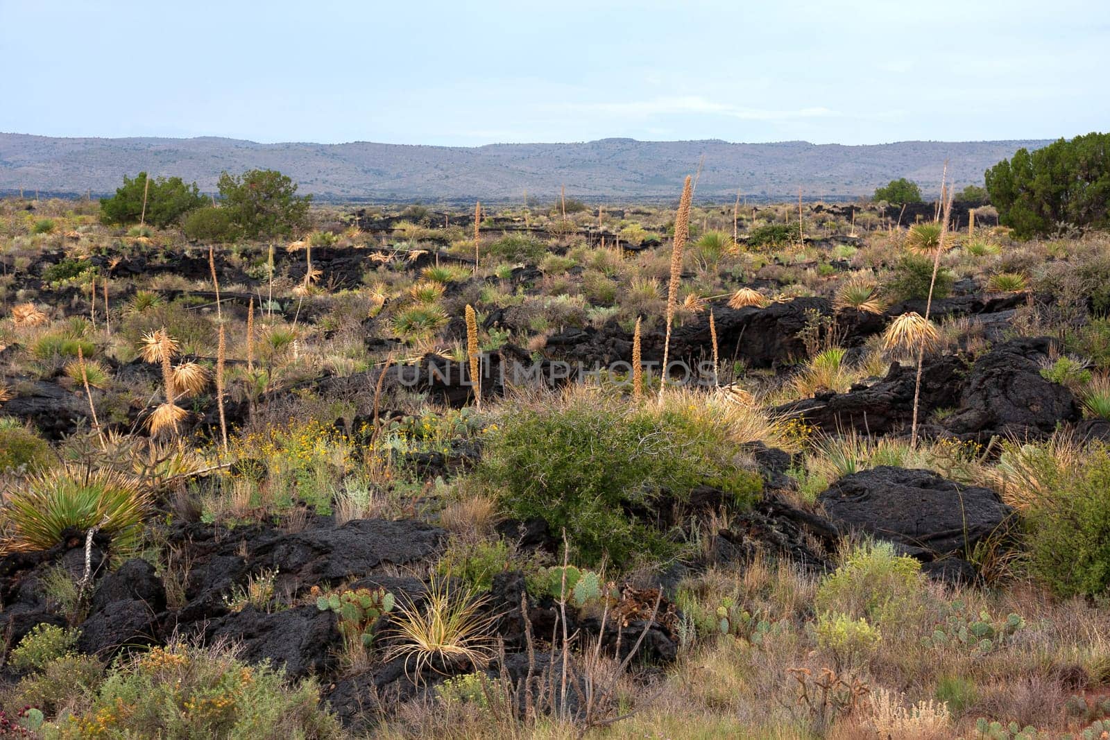 Impressive and scenic landscape in New Mexico