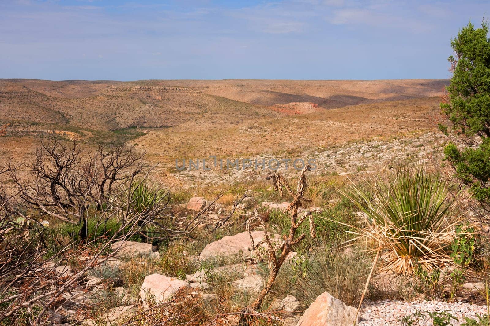Impressive and scenic landscape in New Mexico