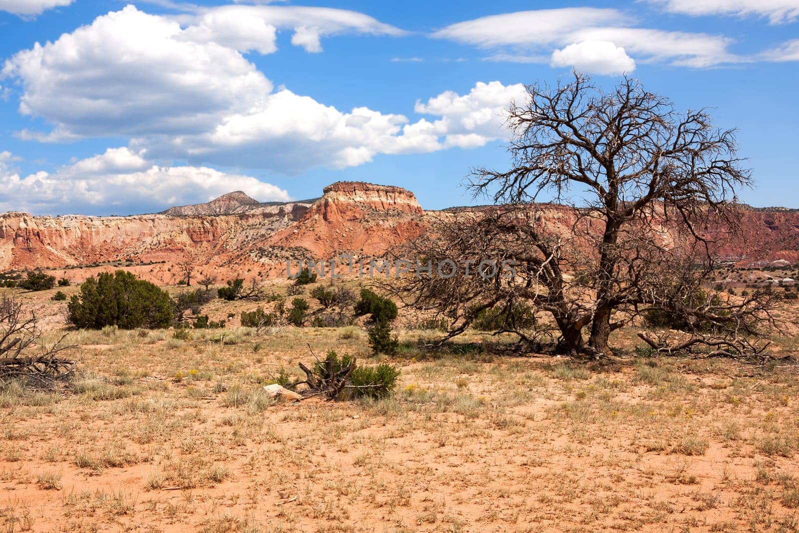 Impressive and scenic landscape in New Mexico