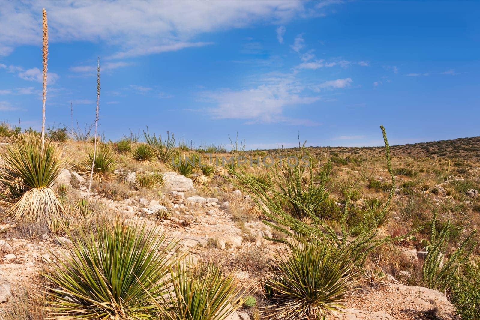 Impressive and scenic landscape in New Mexico near Carlsbad