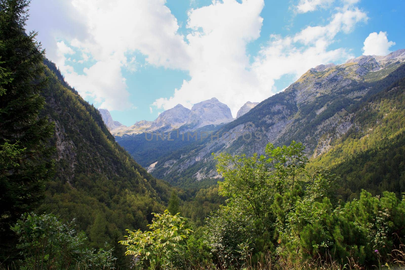 View of Julian Alps in the Slovenian countryside