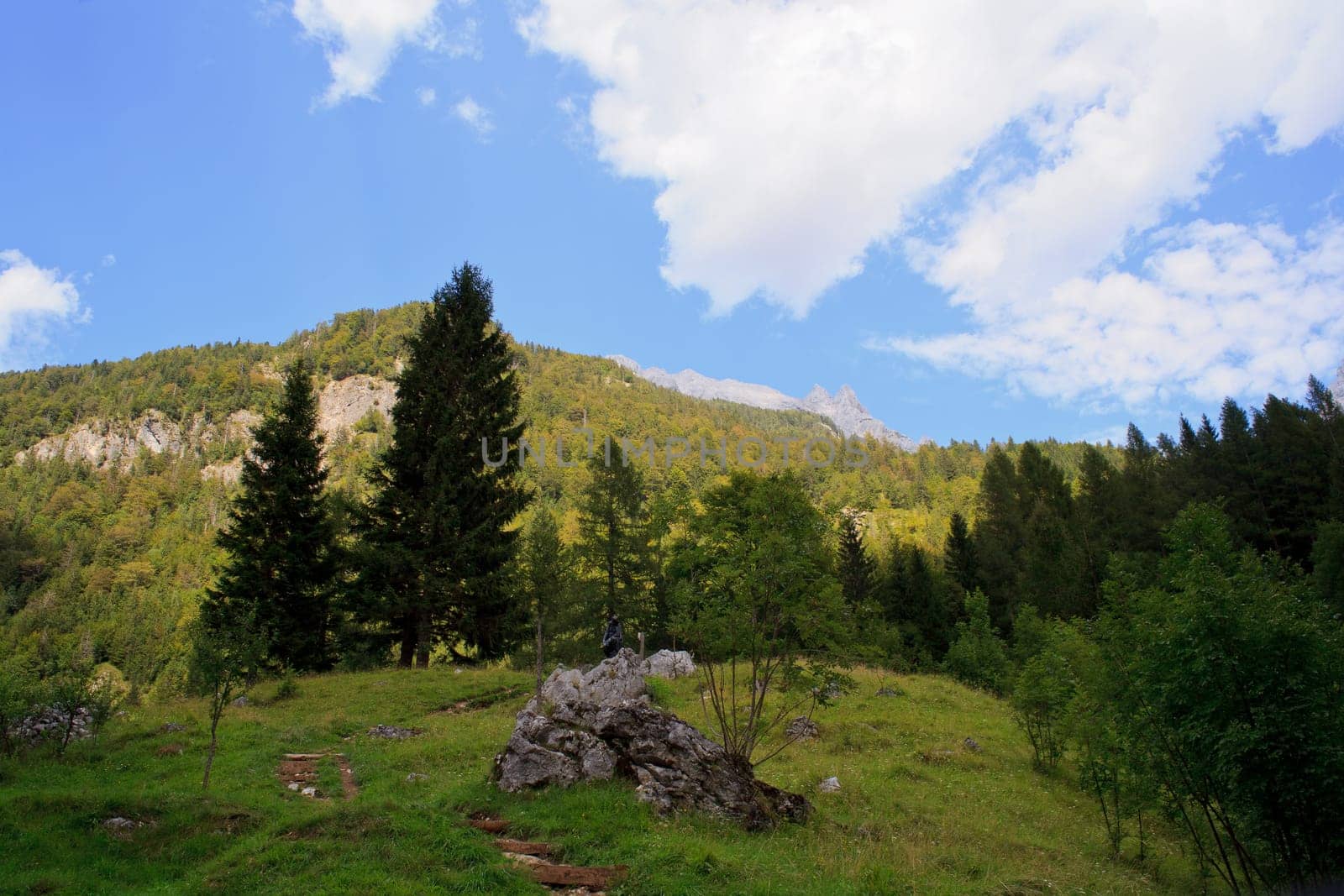 View of Julian Alps in the Slovenian countryside