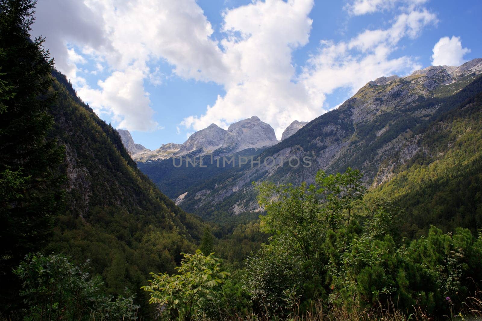 View of Julian Alps in the Slovenian countryside