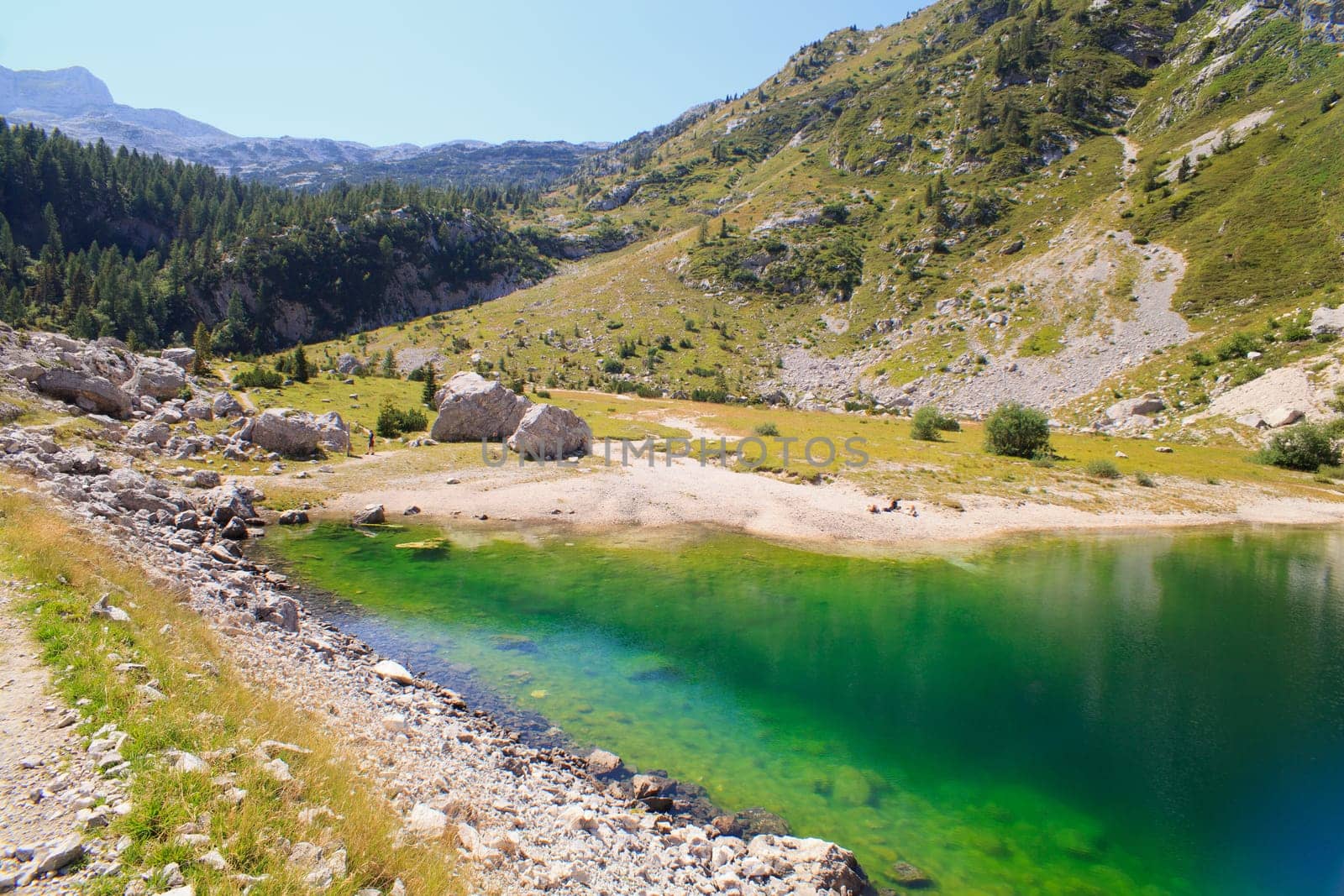 View of krnsko lake in the summer, Slovenia - Europe