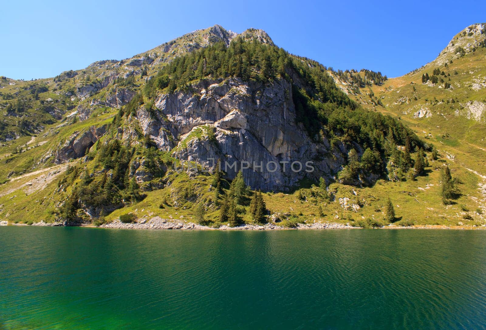 View of krnsko lake in the summer, Slovenia - Europe