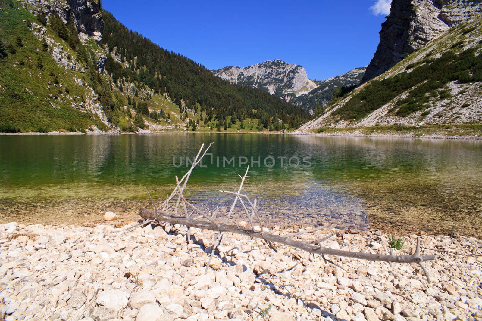 View of krnsko lake in the summer, Slovenia - Europe