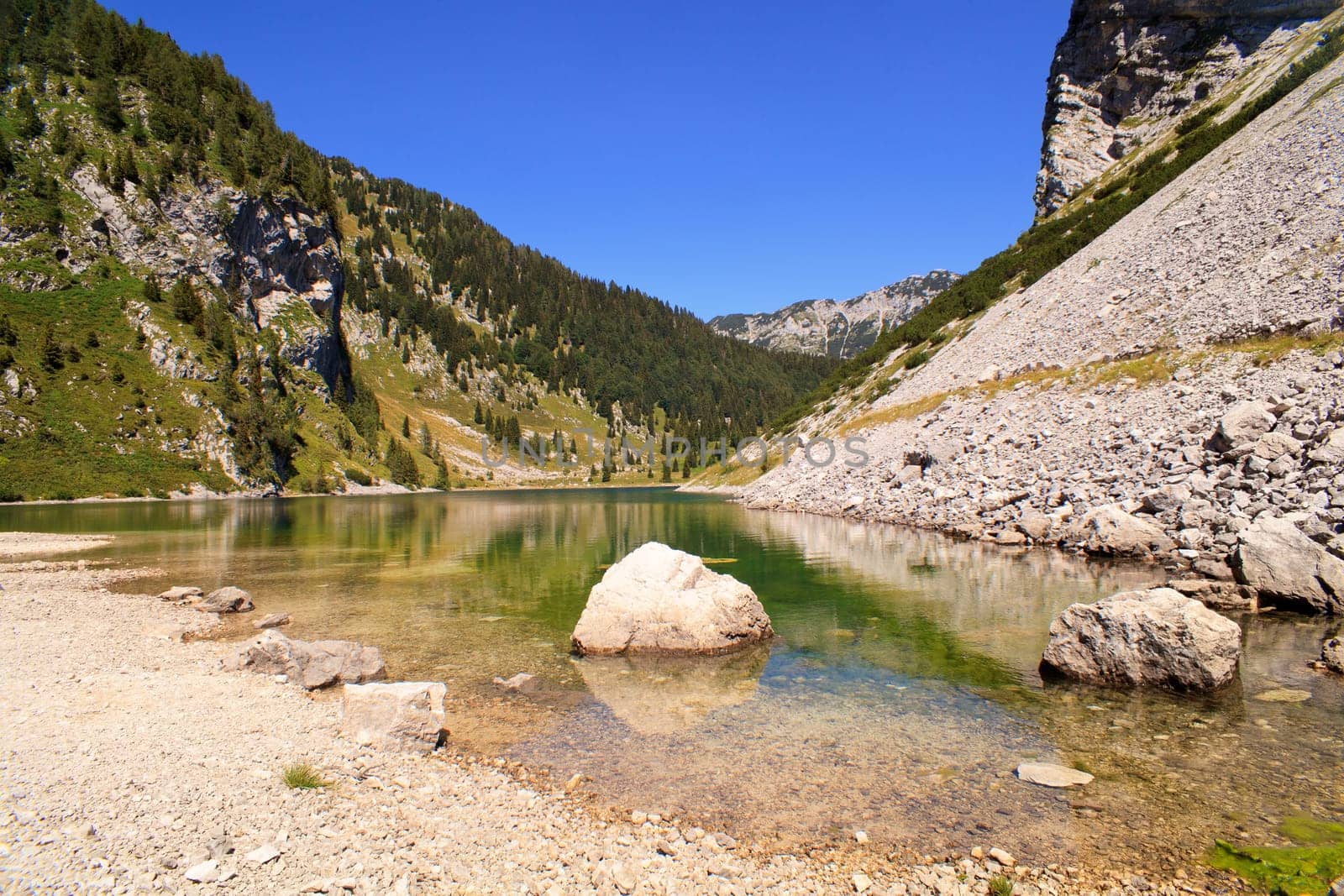 View of krnsko lake in the summer, Slovenia - Europe