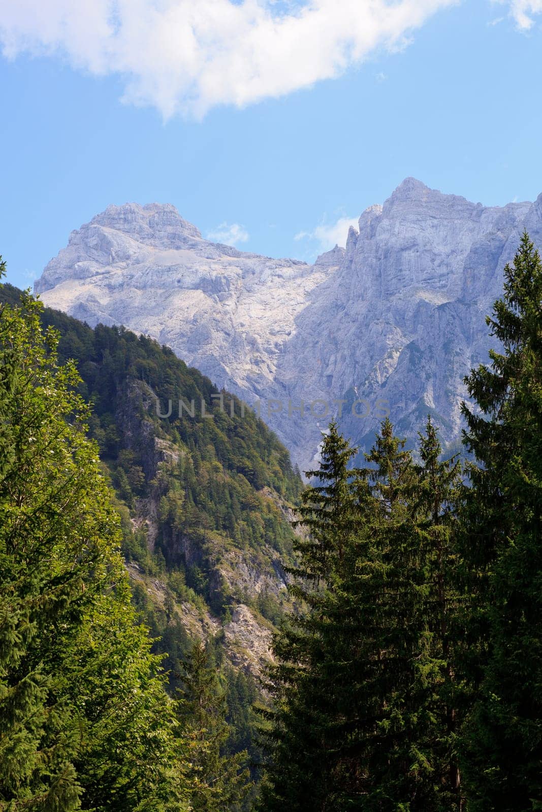 View of Slovenian Julian Alps in the summer
