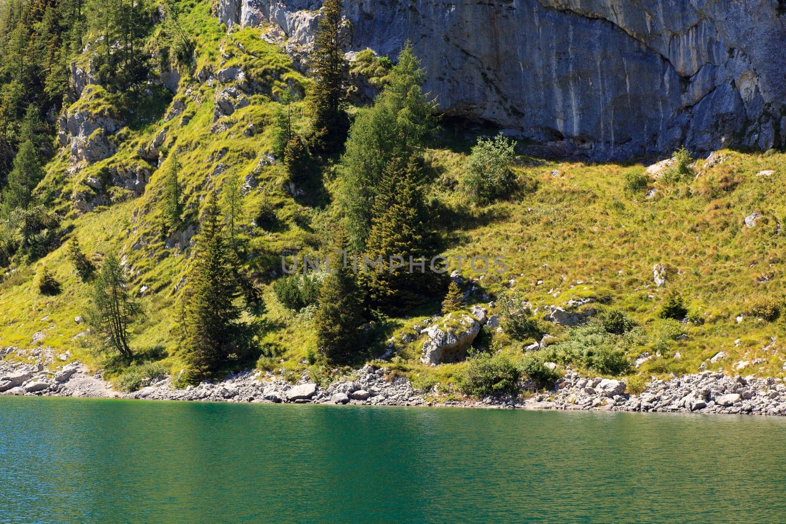 View of krnsko lake in the summer, Slovenia - Europe
