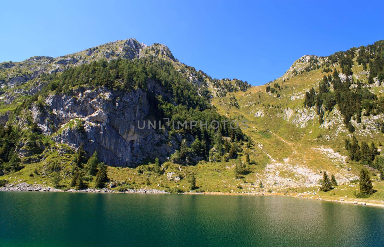 View of krnsko lake in the summer, Slovenia - Europe