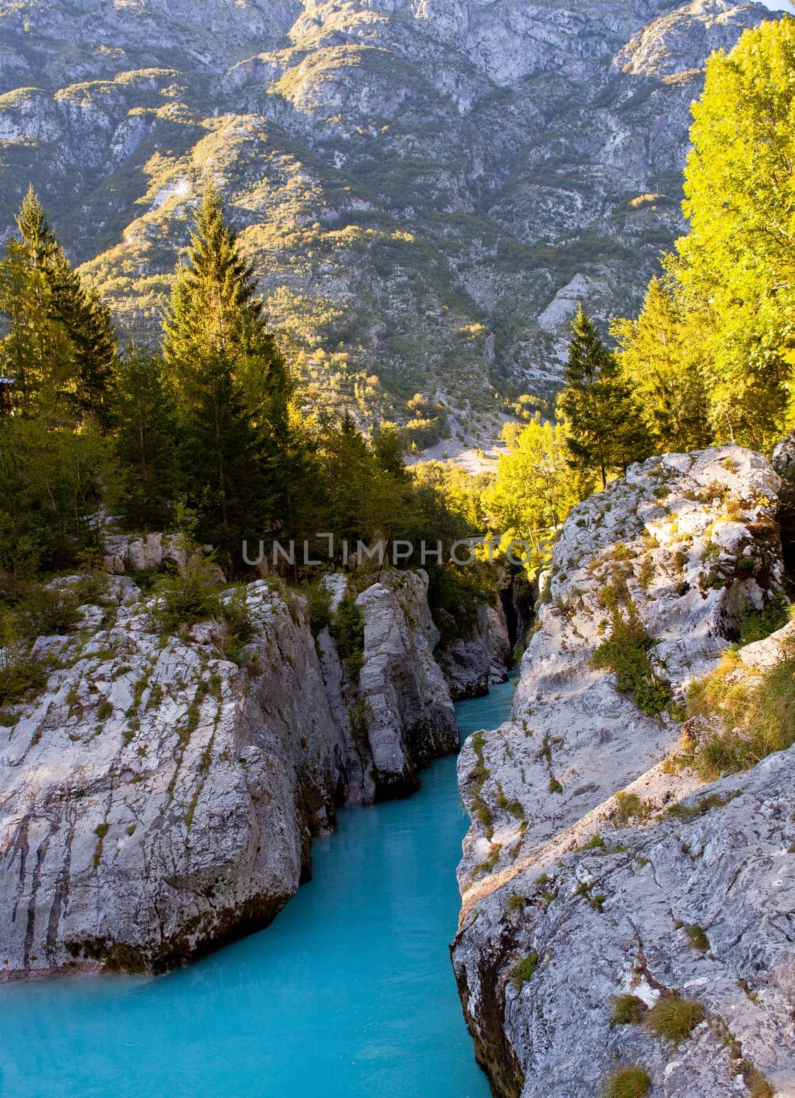 View of Slovenian Soca river in the summer