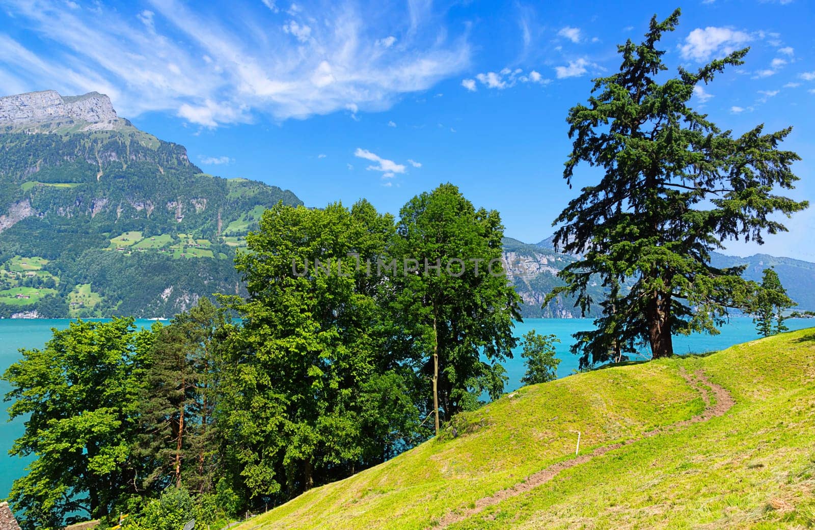 Lake Uri with a view of Seelisberg