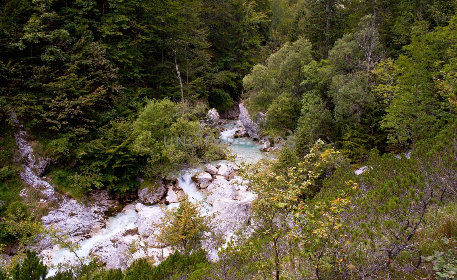 View of Slovenian Soca river in the summer
