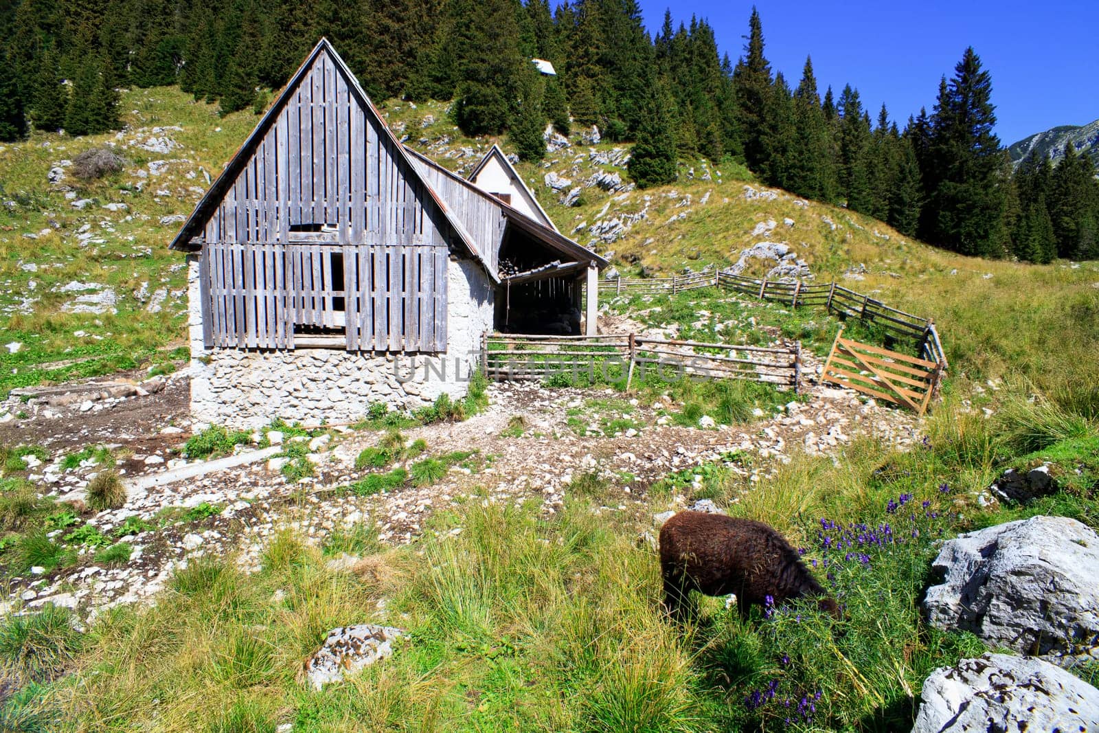 Old wooden house in Slovenian Julian Alps