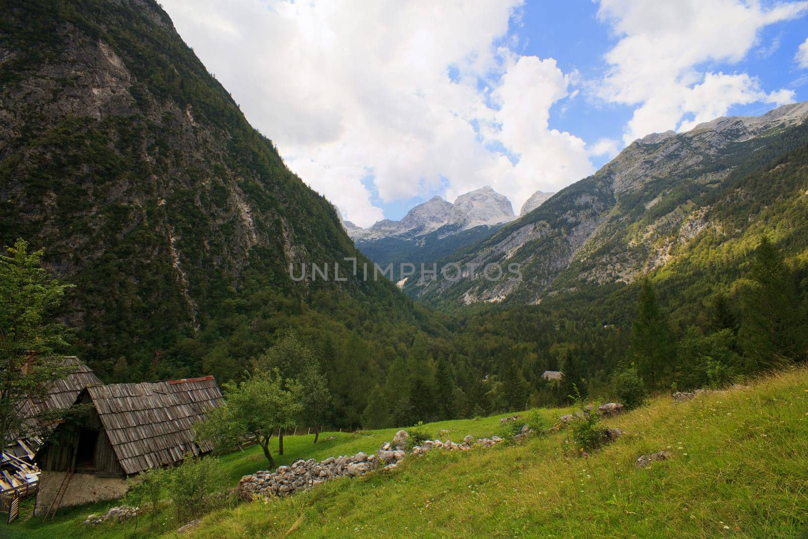 View of Slovenian Julian Alps in the summer