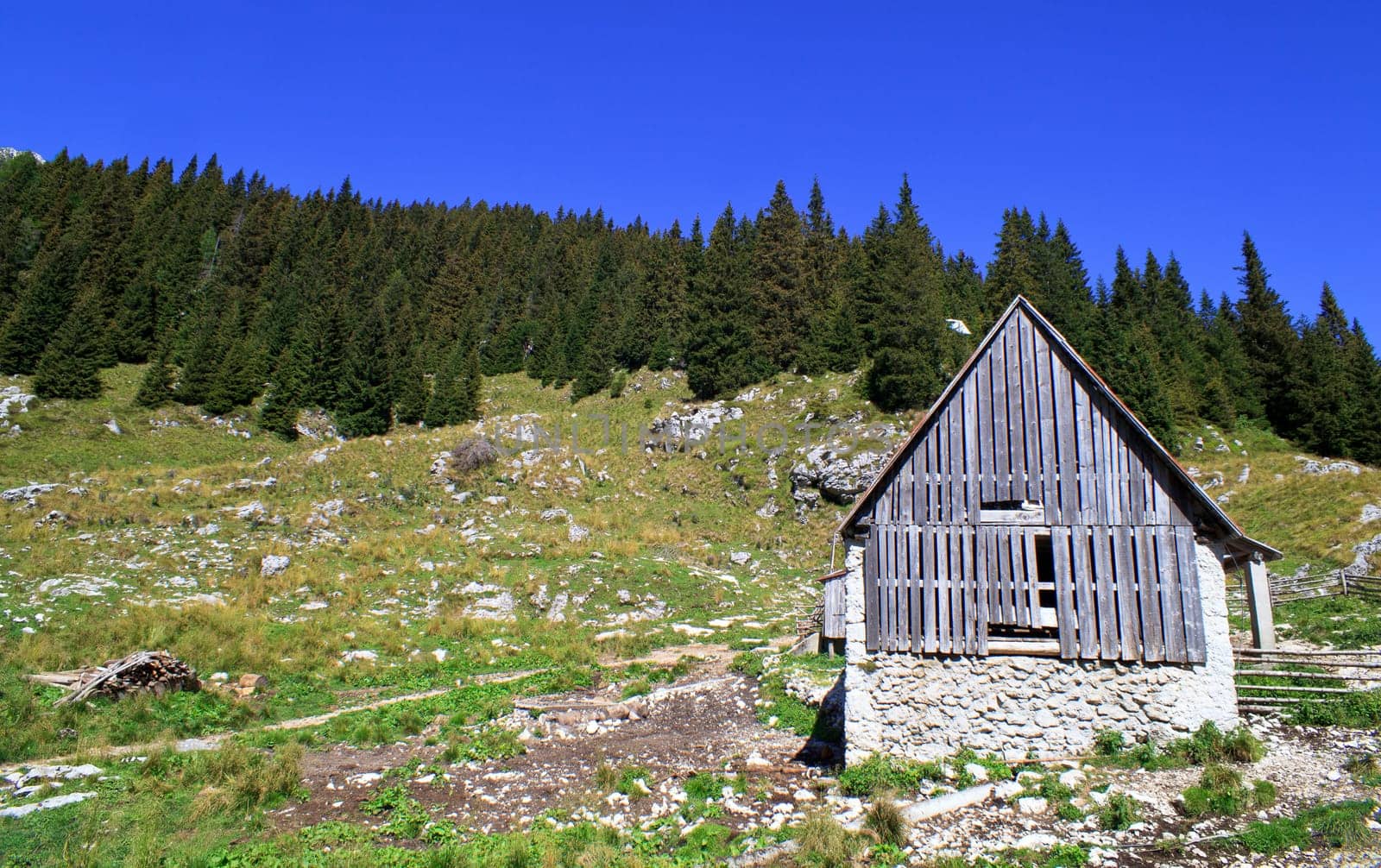 Old wooden house in Slovenian Julian Alps