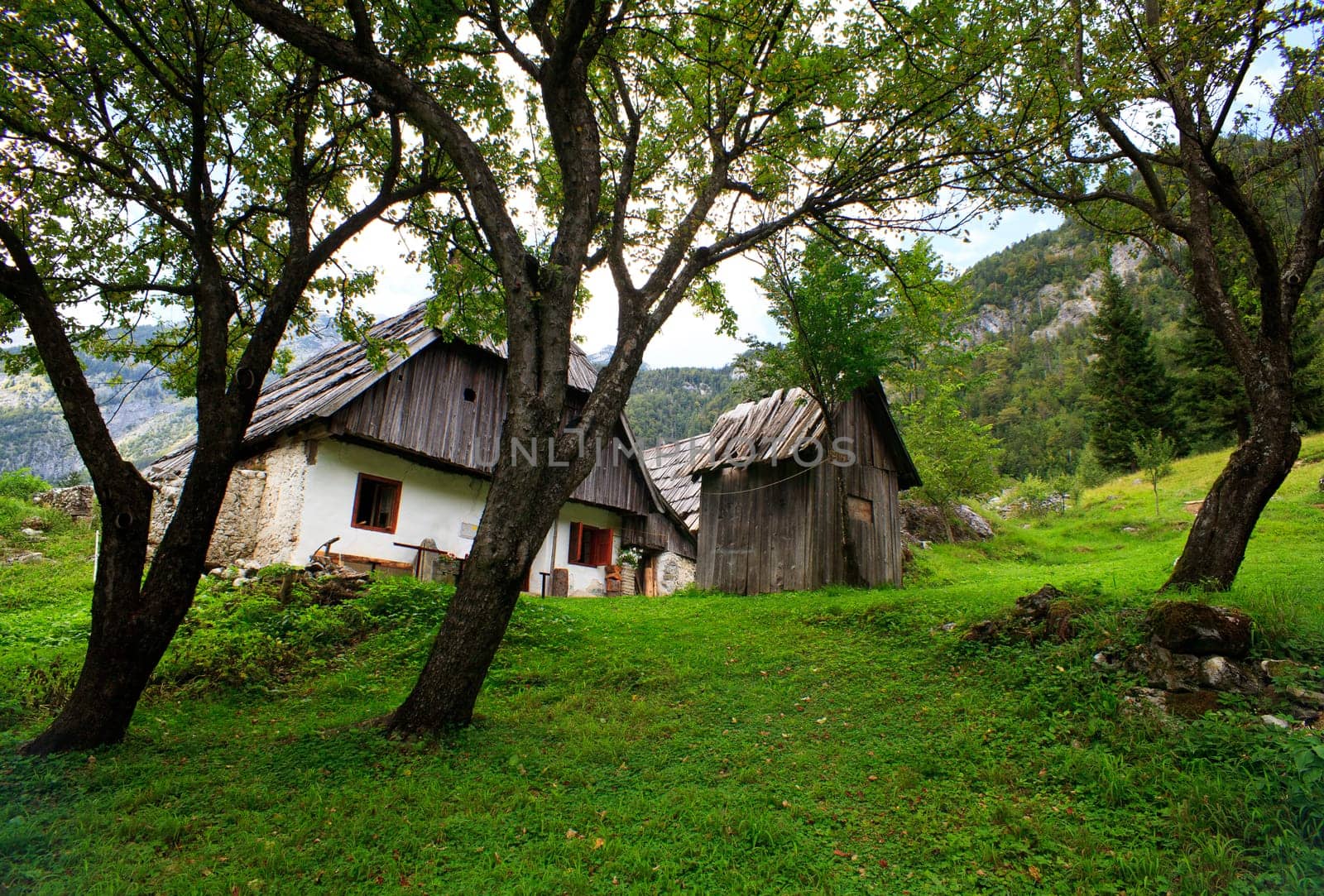 View of Slovenian Julian Alps in the summer