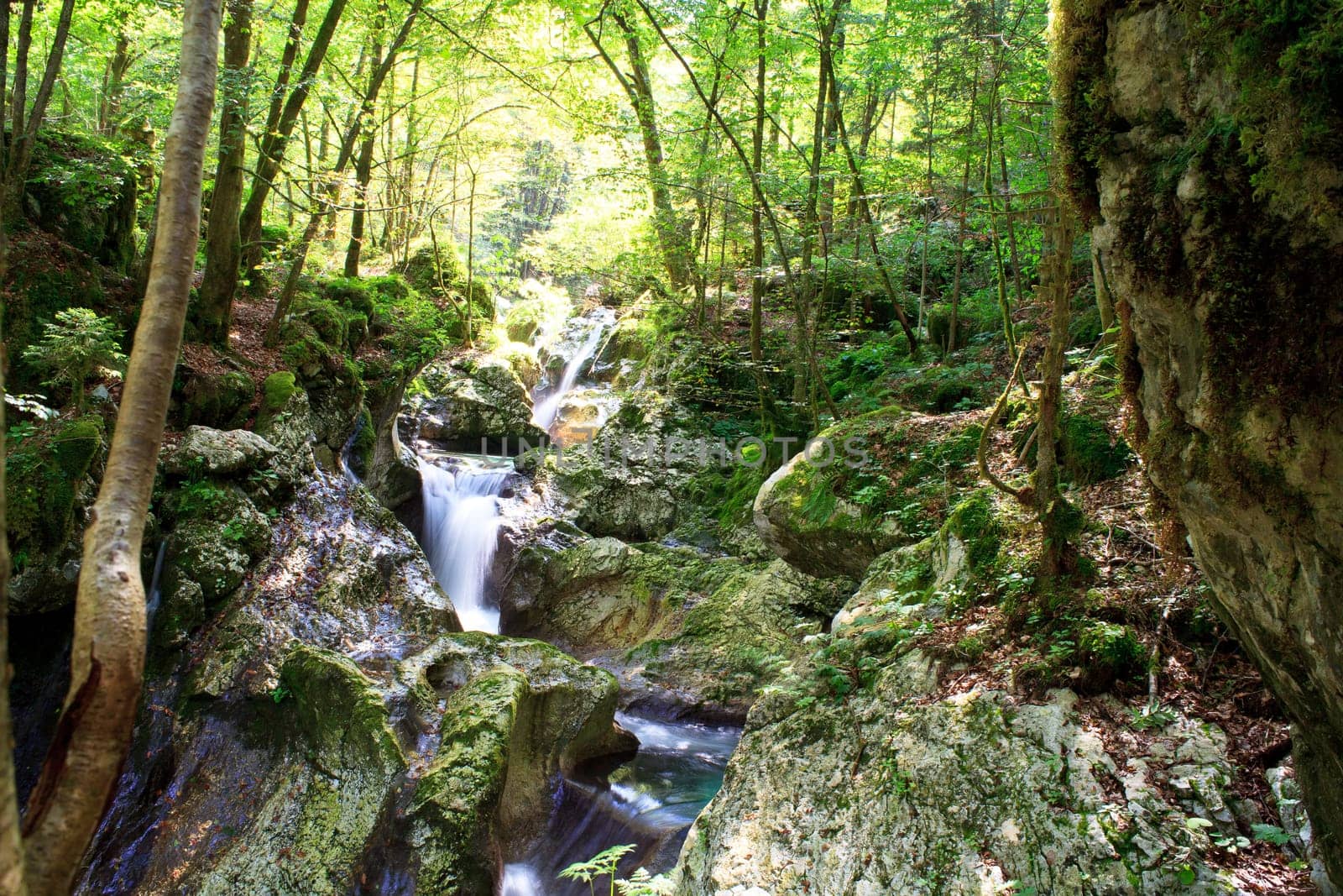 View of Waterfall in the Slovenian Julian Alps