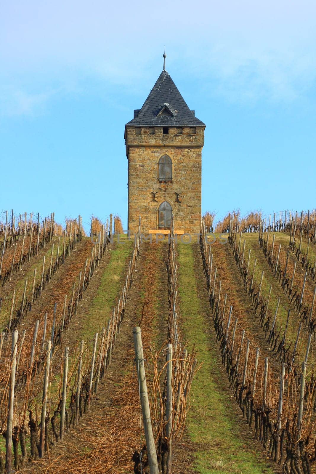 An old,angular,tower with a pointed roof in the vineyard