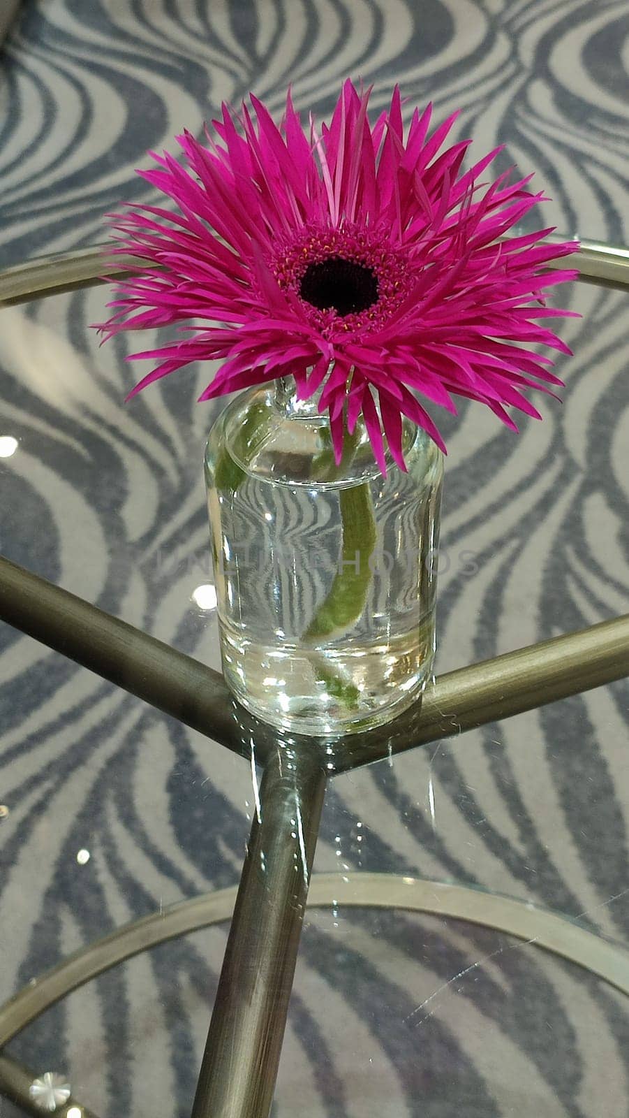 Pink flower glass gray background cute objects love Valentine day wedding design decor decorations plants . High quality photo