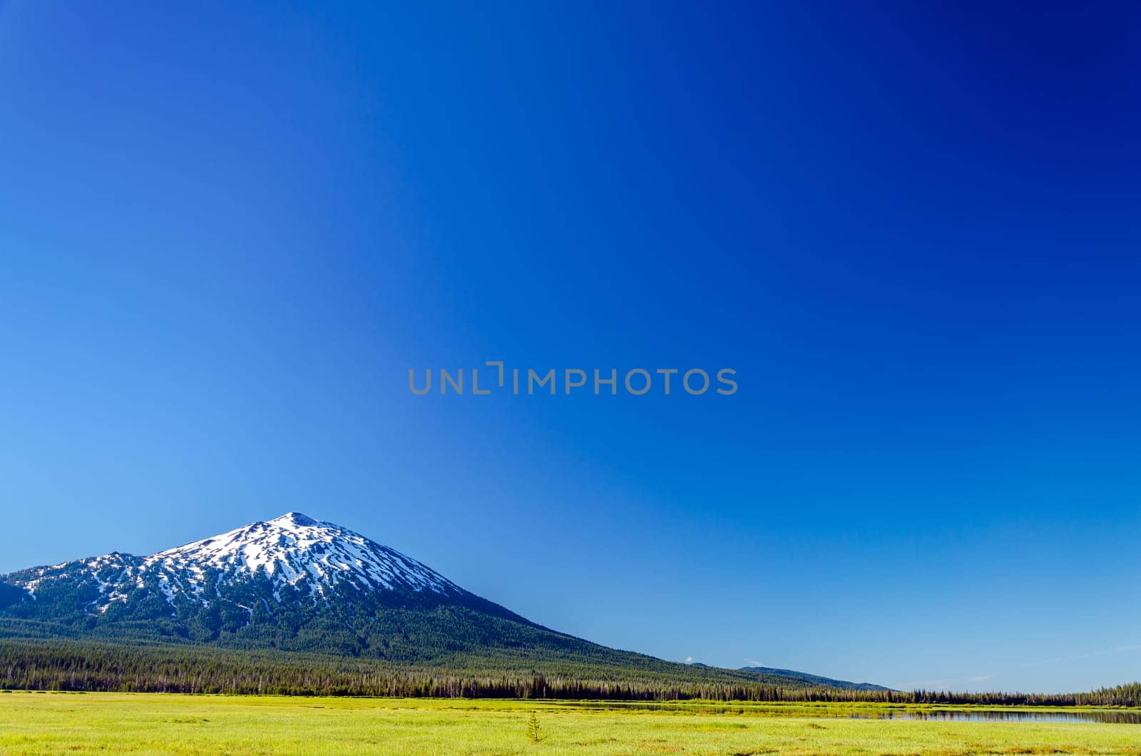 Mount Bachelor seen from a green meadow with a deep blue sky in Central Oregon