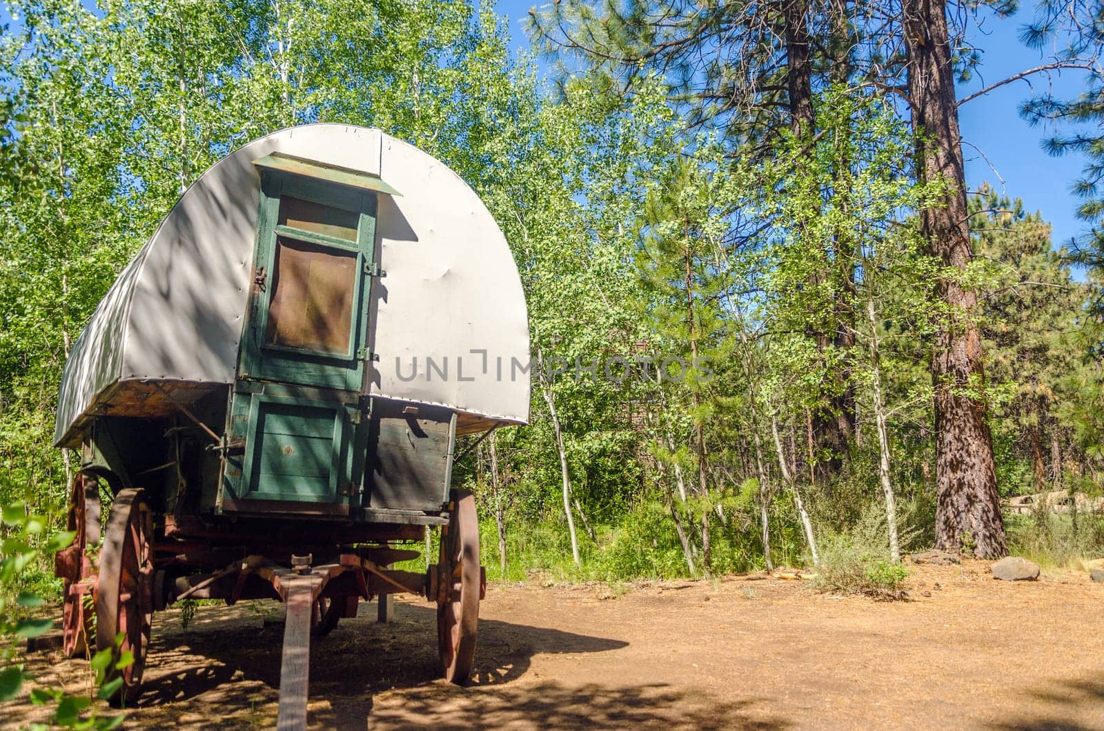 Old West style covered wagon in a forest in Central Oregon