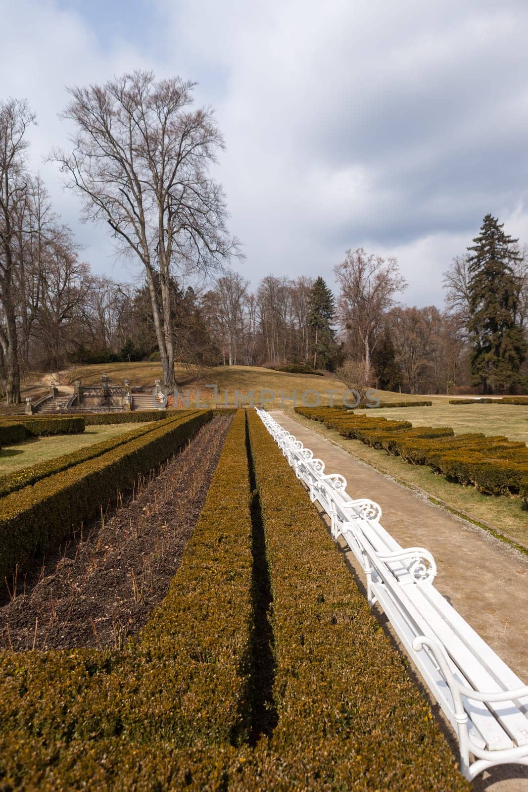 The picture was taken in the Park in front of the castle Hluboka nad Vltavou. Czech Republic