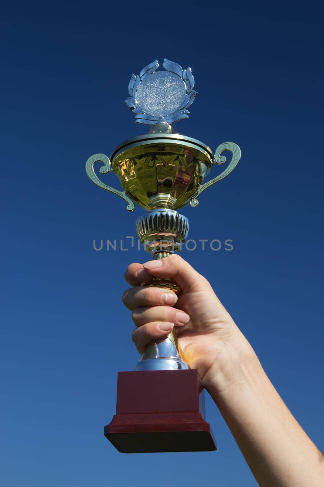 View of a hand holding a trophy cup. Blue sky in the background.
