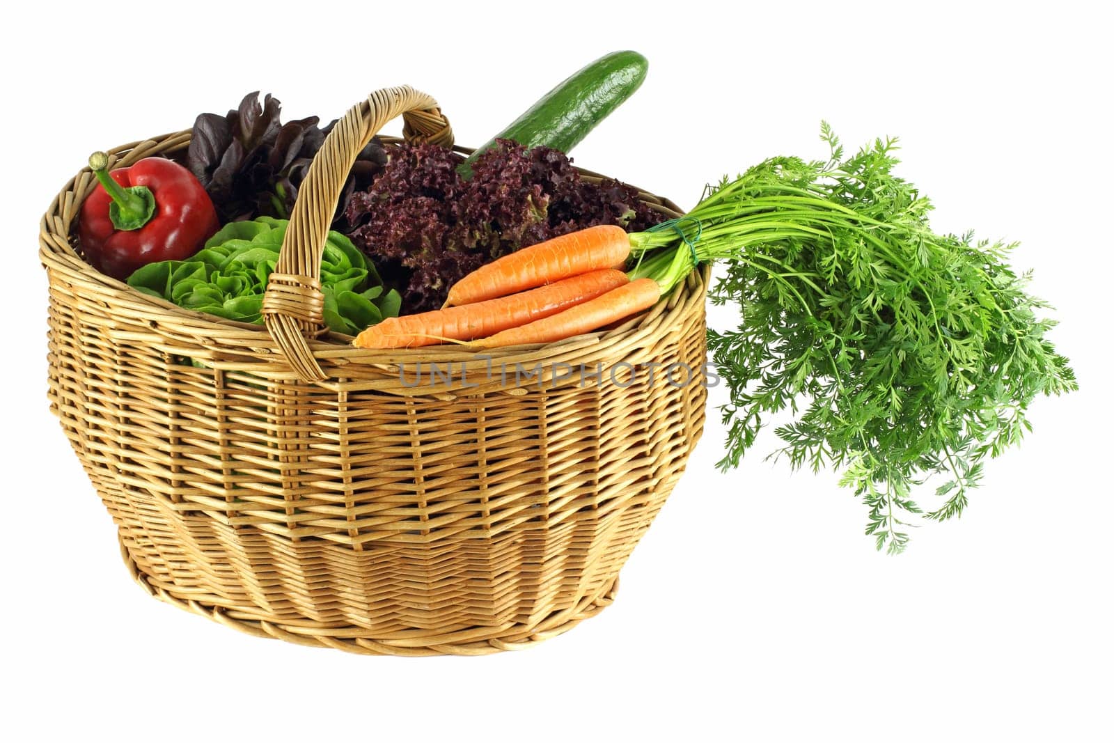Fresh vegetables
