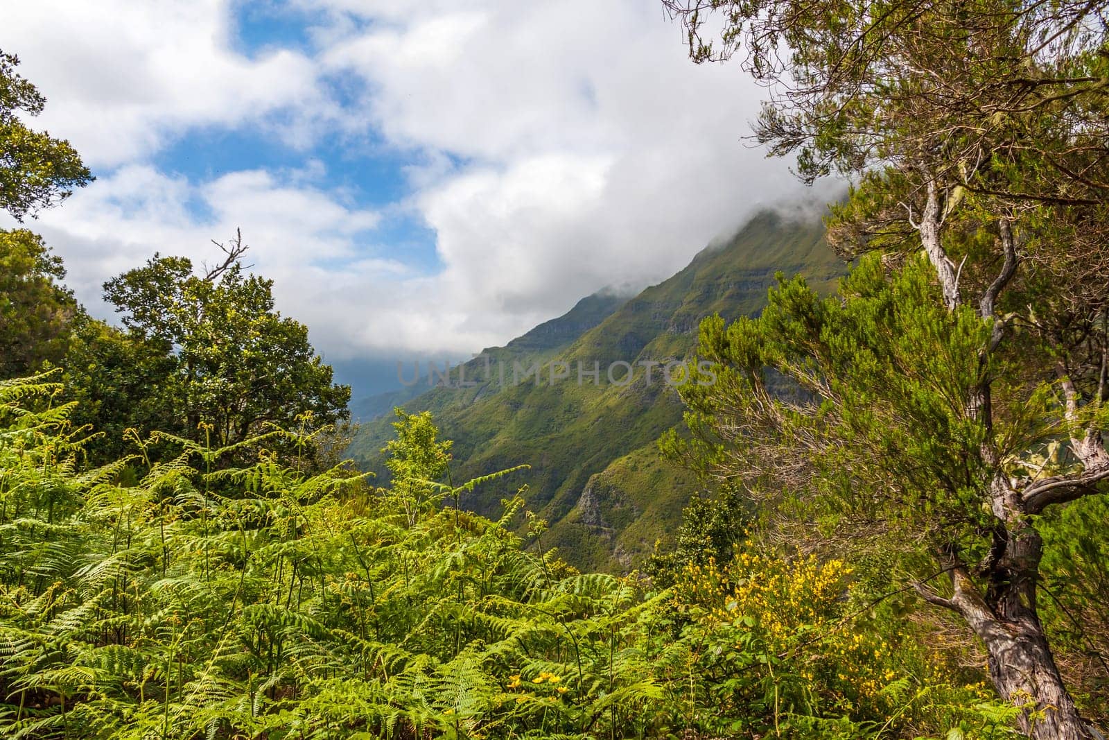 The magnificent inland of the island of Madeira