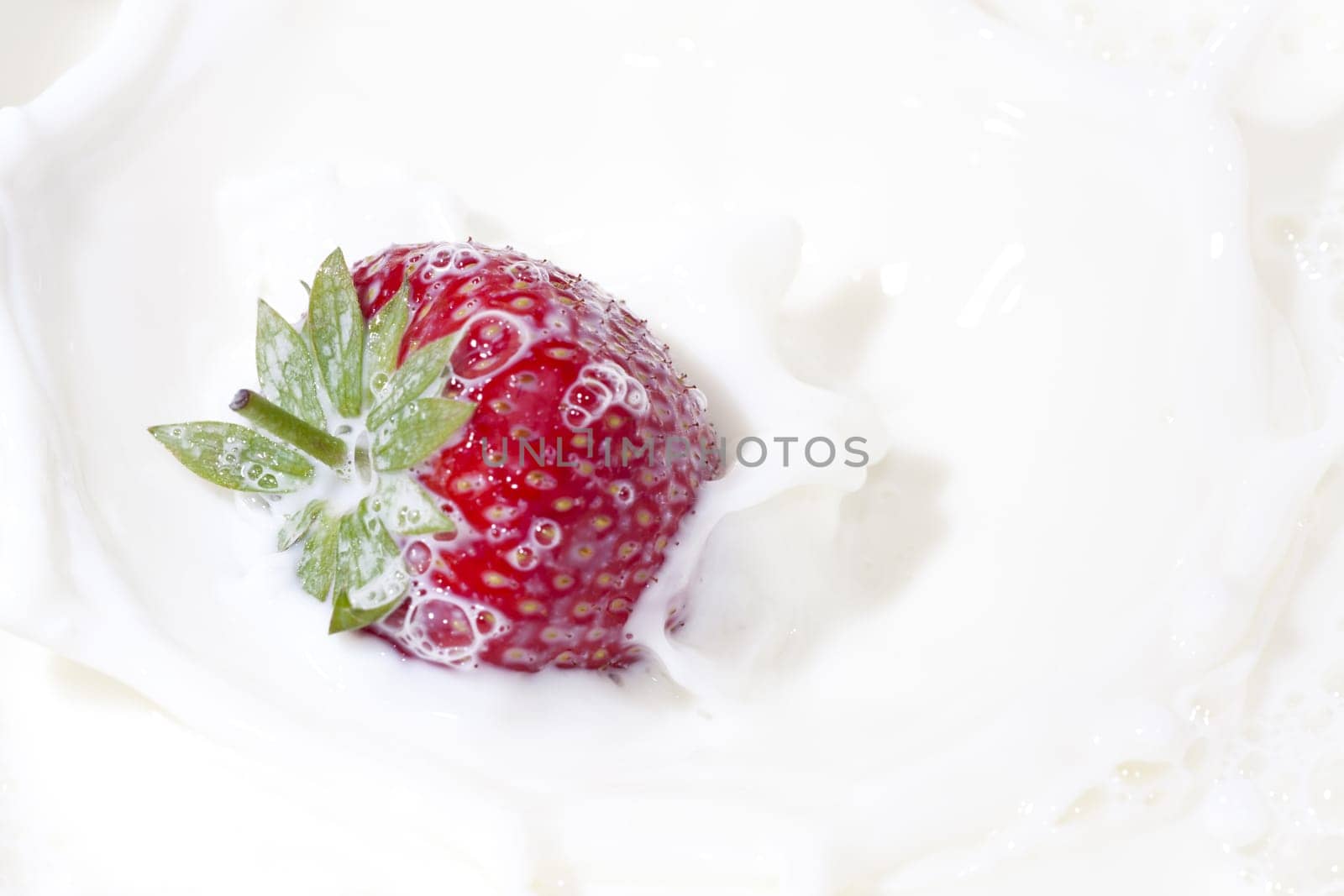 Freshly harvested red strawberry falls into milk and splashes up