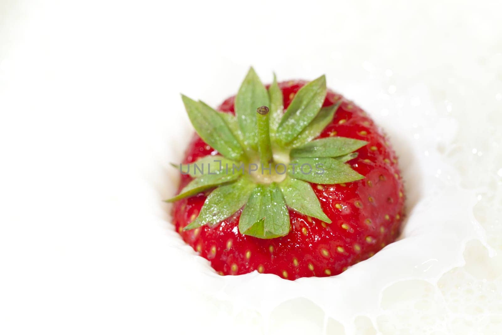 Freshly harvested red strawberry falls into milk and splashes up