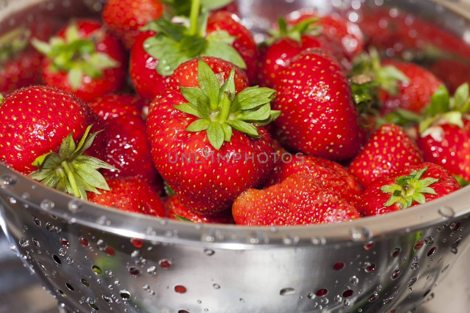 Delicious red freshly harvested strawberries in a stainless steel rock