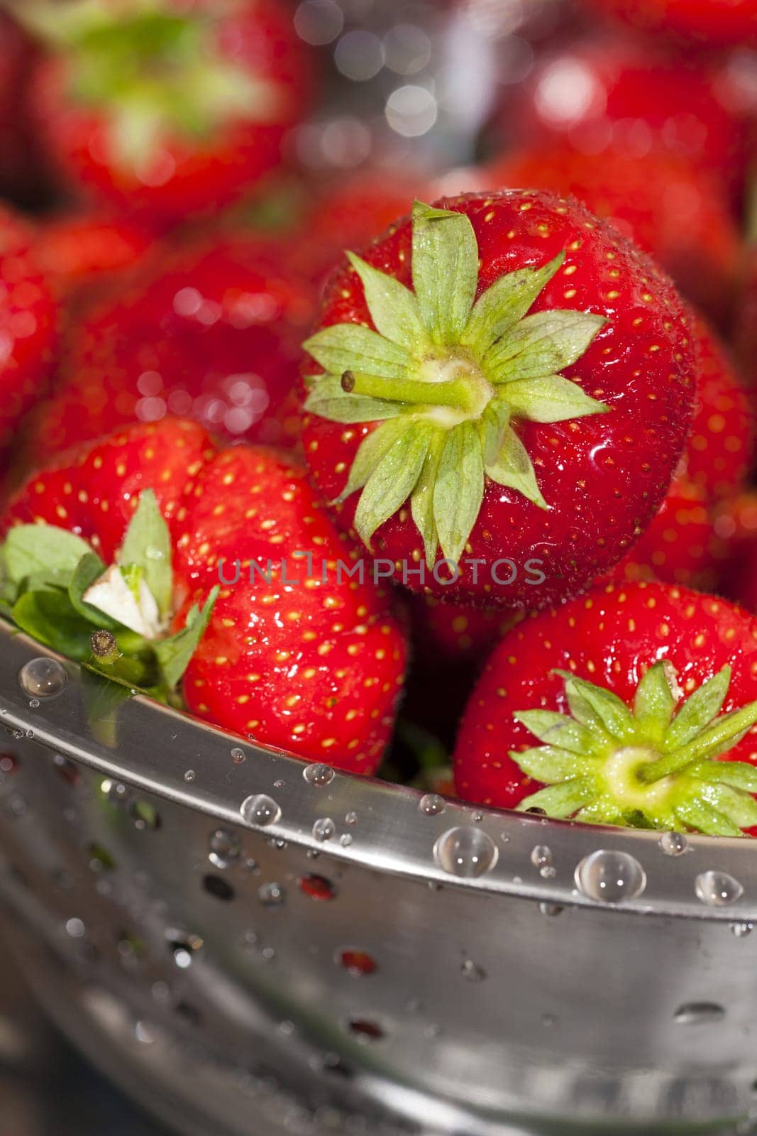 Close-up of red freshly harvested strawberries in a stainless steel rock