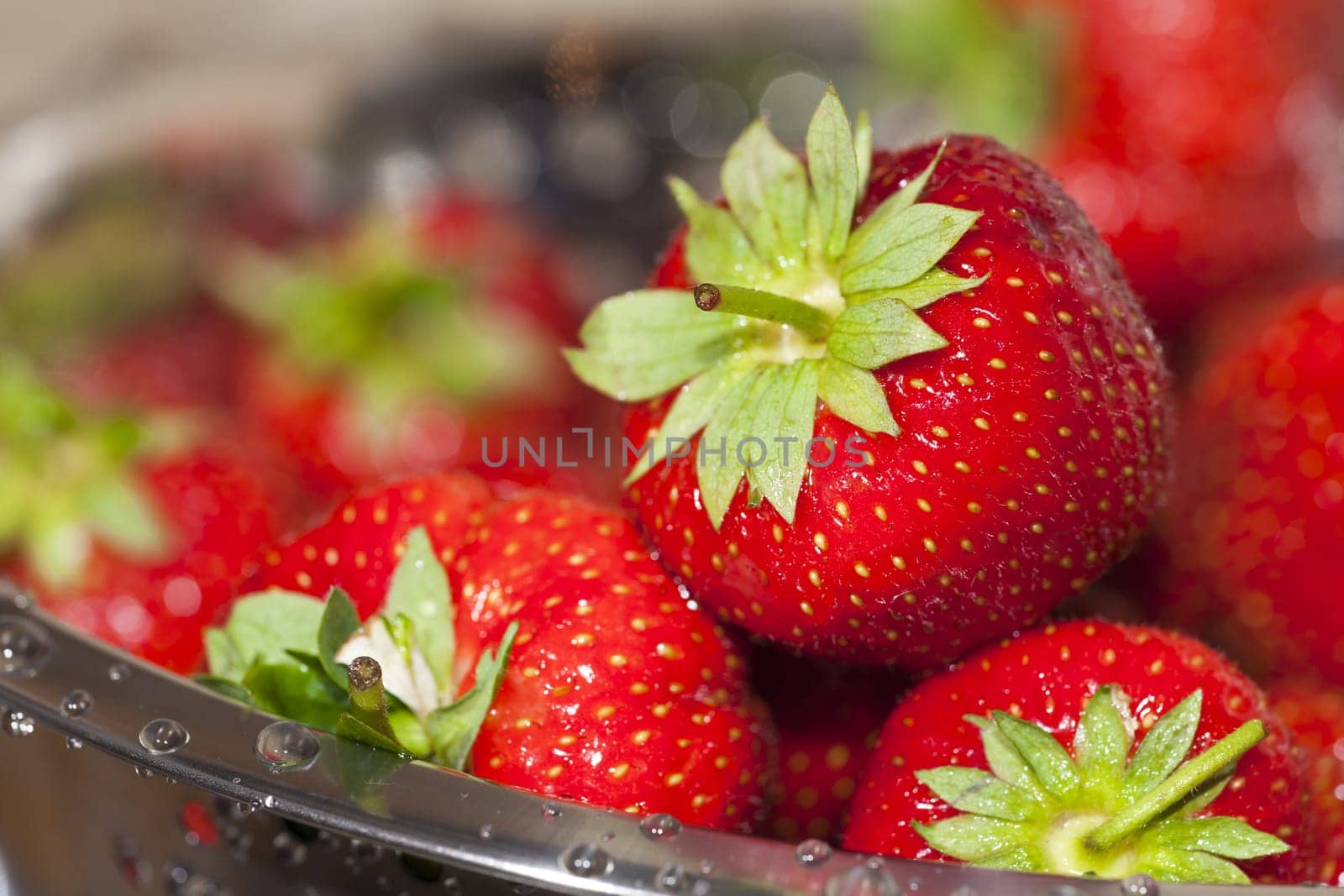 Close-up of red freshly harvested strawberries in a stainless steel rock