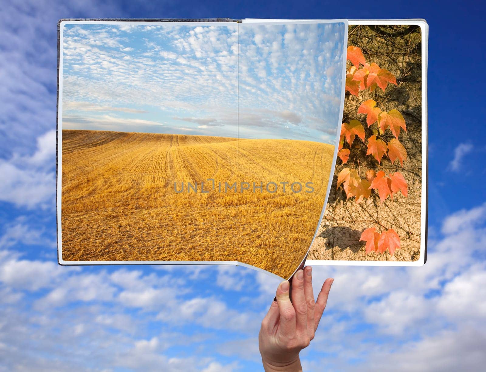 Hand through the book of seasons on cloudy sky
