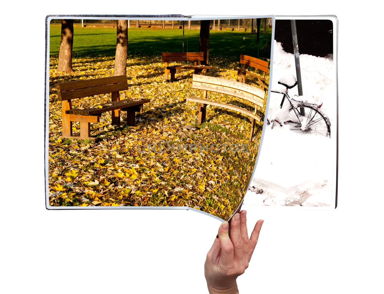 Hand through the book of seasons on white background