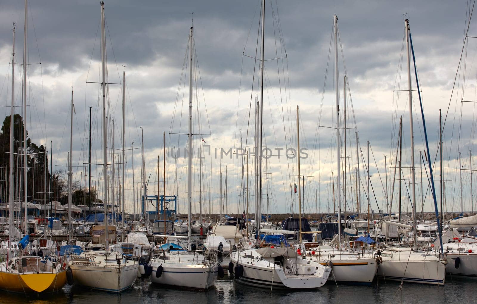 A lot of Boats, in Grignano pier