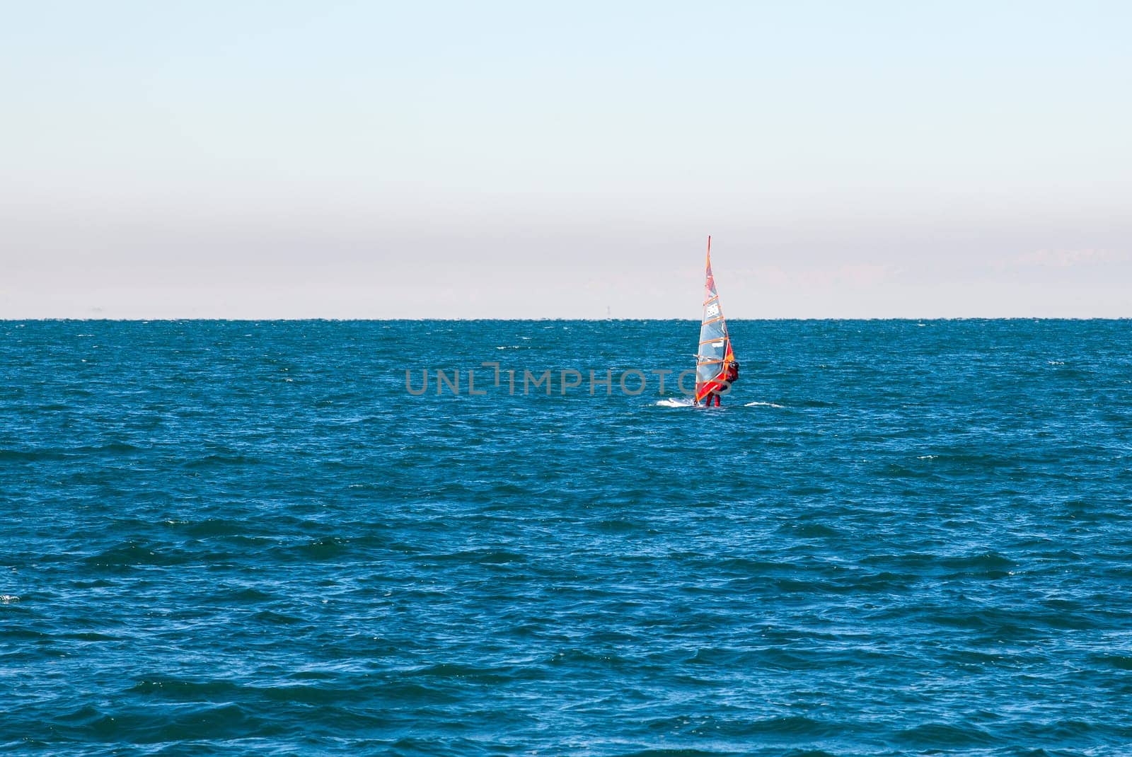View of a Windsurfer in the Trieste sea