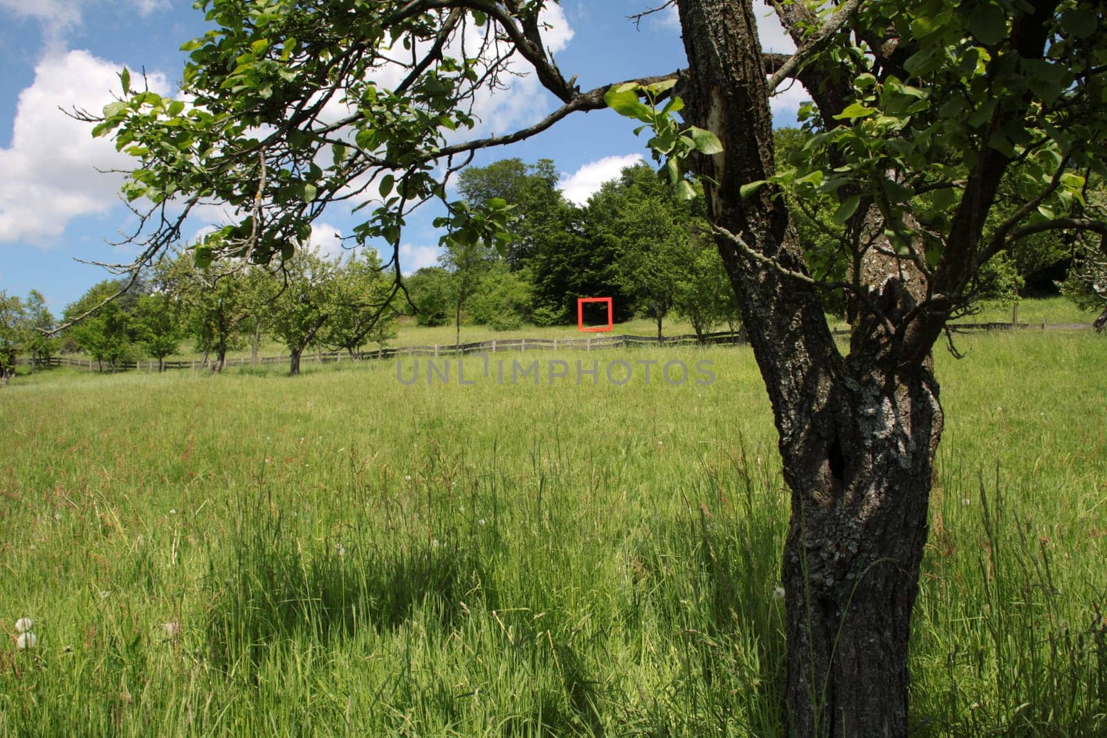 Red frame in the Staff Park in Lemgo