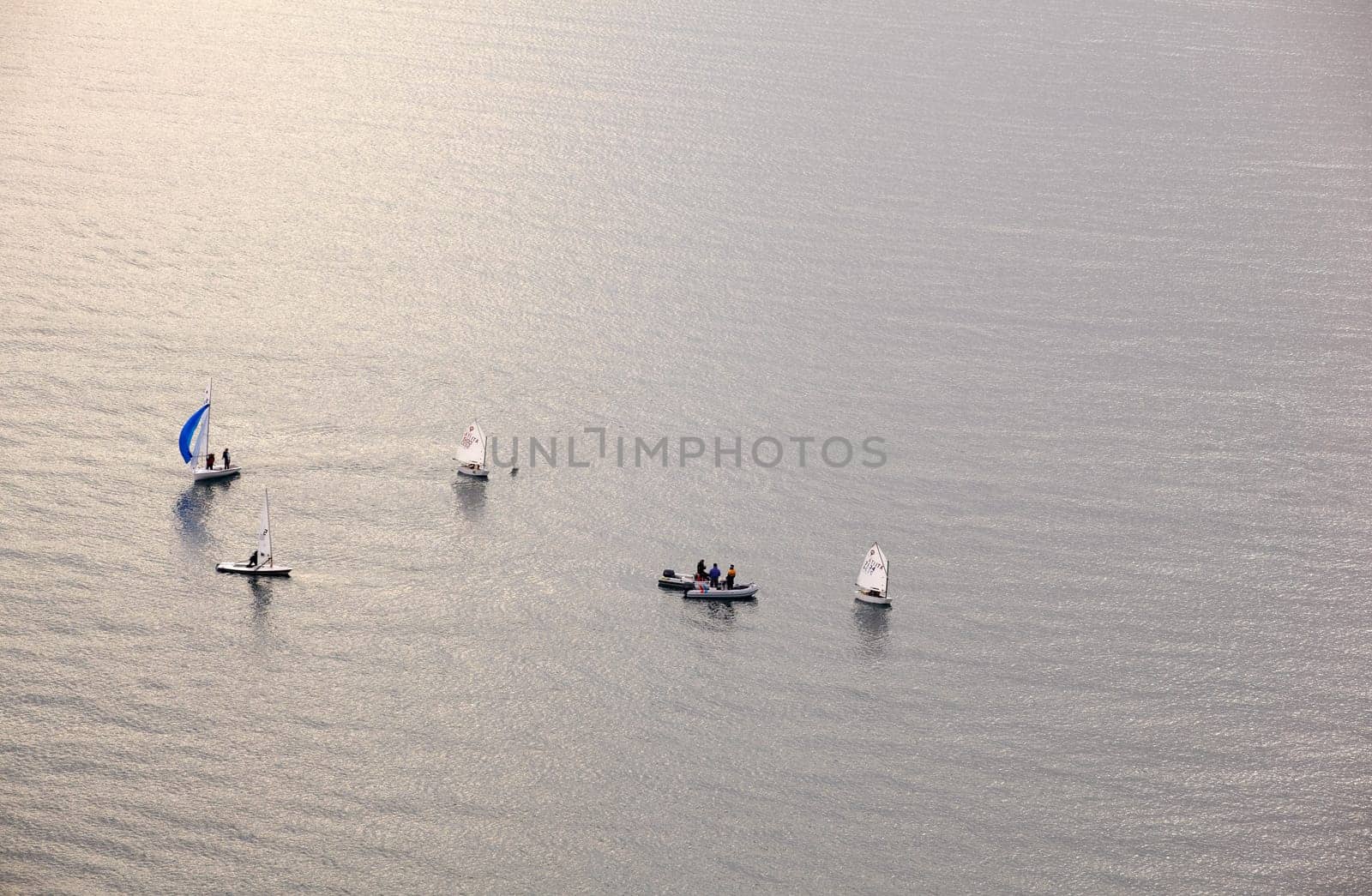 A lot of sailboats on the Trieste sea