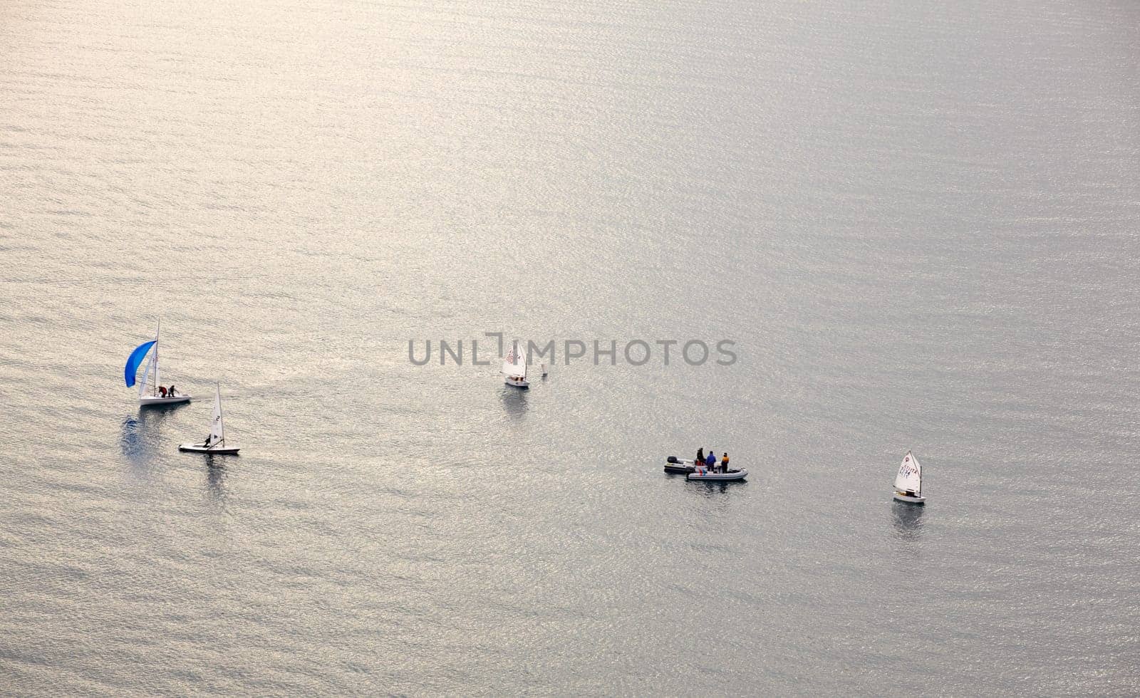A lot of sailboats on the Trieste sea