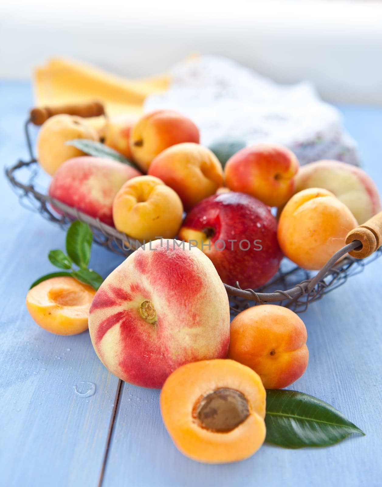 Different types of peaches and apricots in a wire body